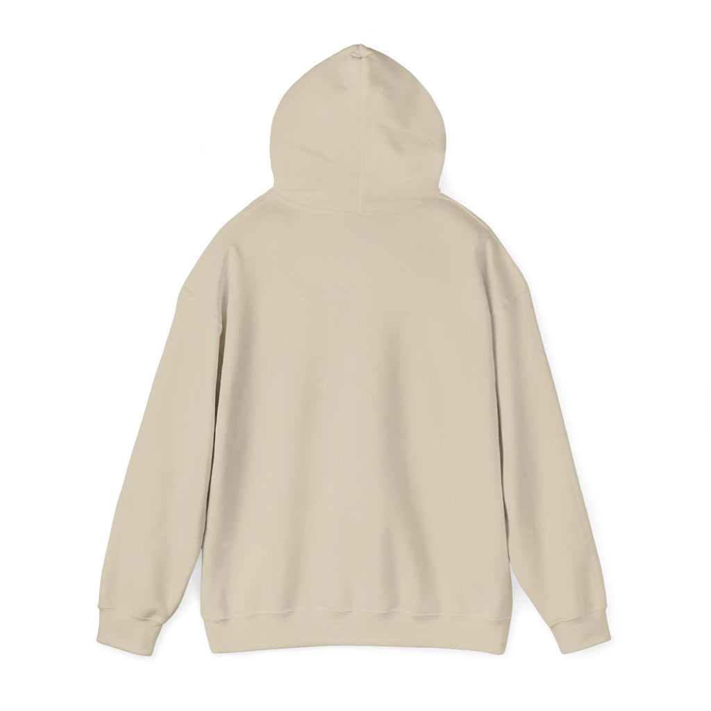 Autism Is A Different Kind Of Brilliance Hoodie | neurodiversity, autistic pride
